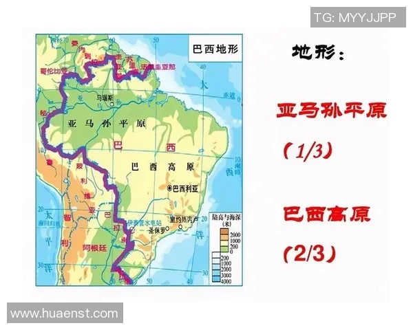 九号足球明星巴西的传奇之路与辉煌成就解析 九号足球明星巴西的传奇之路与辉煌成就解析